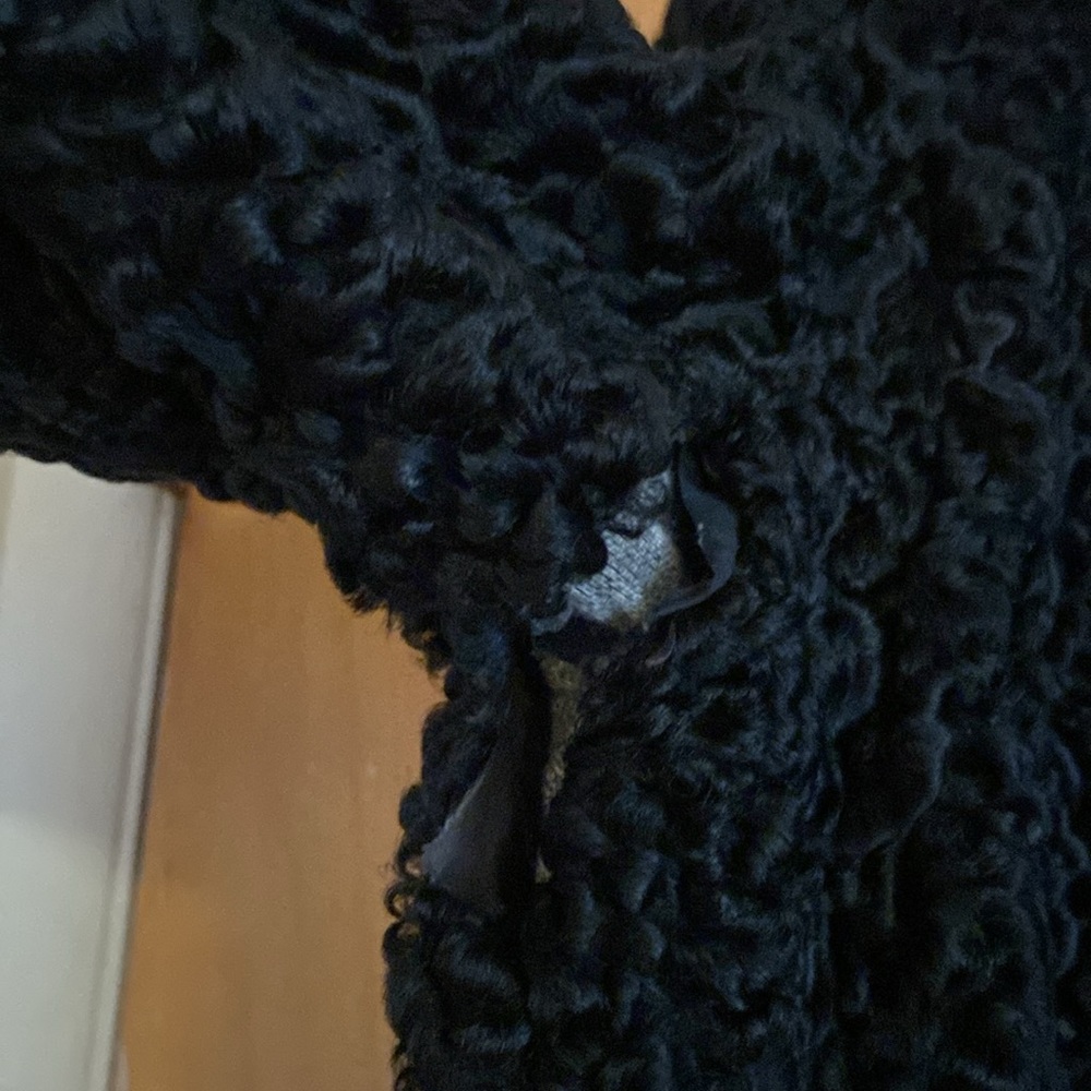 FUR - Picture 14 of 14